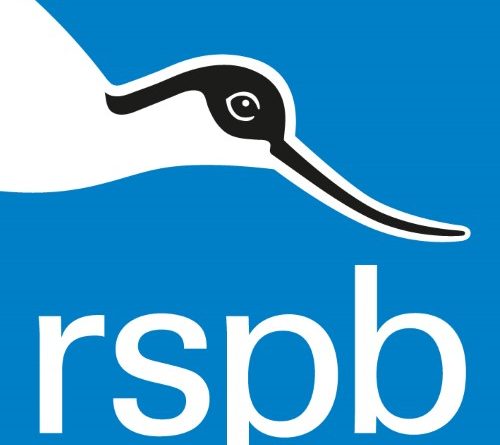 PRESS RELEASE : RSPB Charity calls on Scottish Government to deliver on ...
