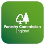 PRESS RELEASE : War against tree beetle sees eradications around England [September 2025]